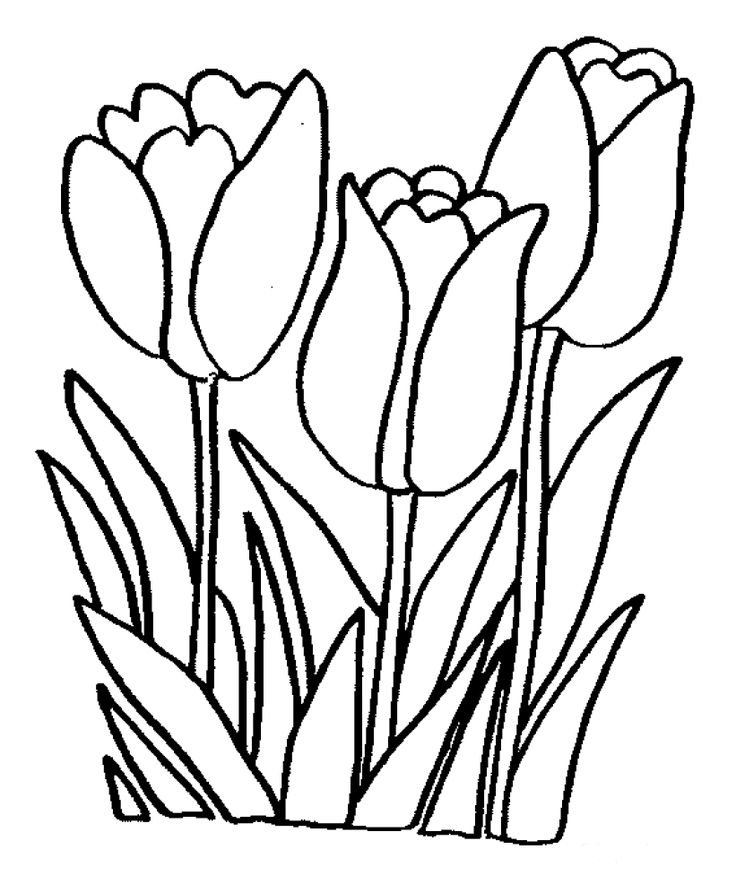 736x892 Detailed Flower Coloring Pages Marvelous Free Coloring Pages
