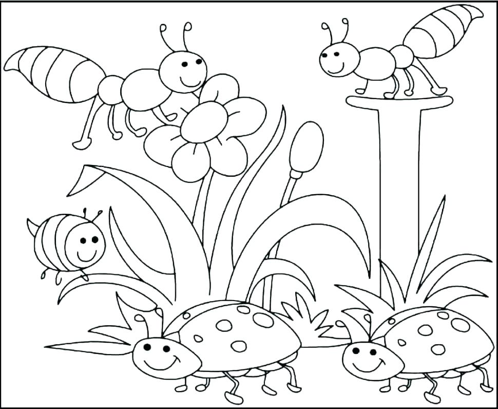 970x796 Hibiscus Coloring Pages Hibiscus Coloring Pages Flower Coloring