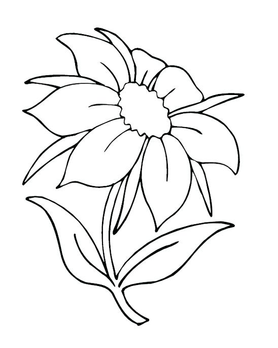 548x685 Free Printable Preschool Flower Coloring Pages Printable Coloring
