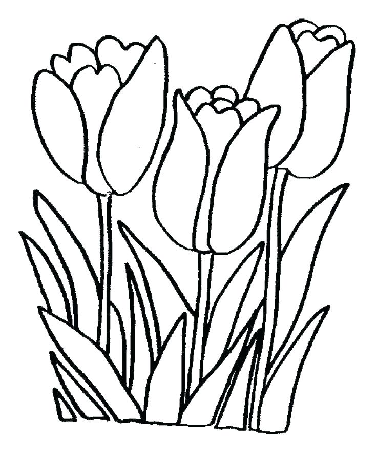 736x892 Realistic Flower Coloring Pages Printable Coloring Pages