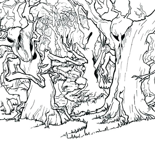 600x561 Enchanted Forest Coloring Pages For Adults Page Best Coloring