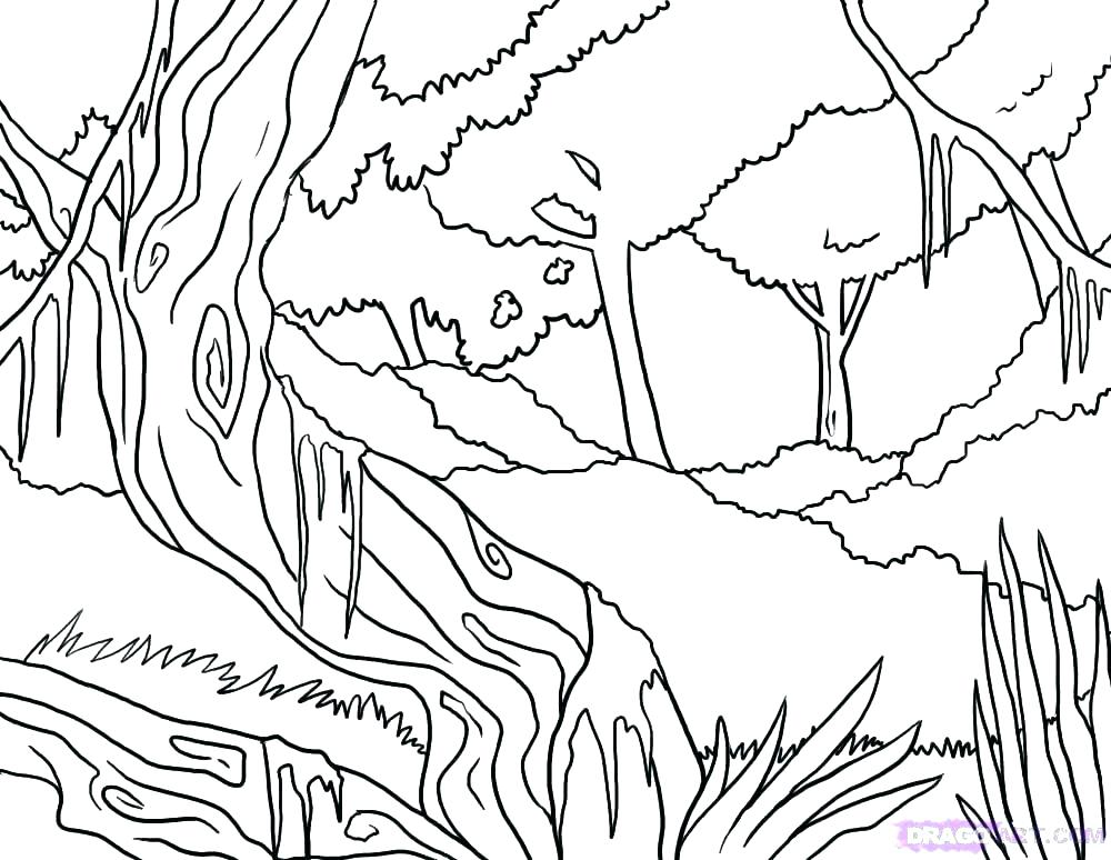 1000x774 Printable Coloring Pages Rain Forest Coloring Pages Coloring Page