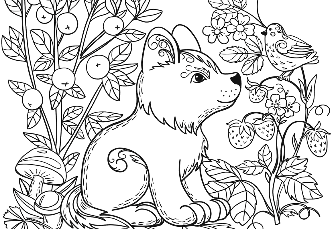 1159x800 Coloring Page With Deer In Forest Book For Adult Pages Adults