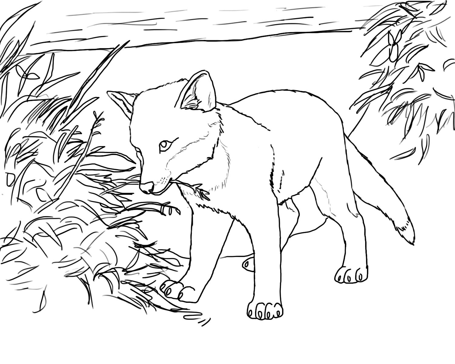 1500x1200 Fox Coloring Pages Collection Free Coloring Pages Download