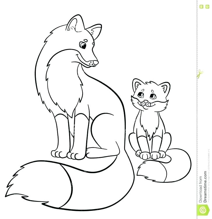728x755 Red Fox Coloring Pages