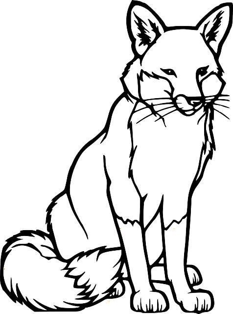 476x640 Fox