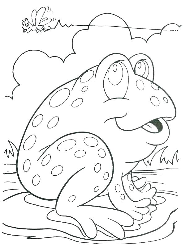 614x800 Frogs Coloring Pages Frog For Coloring Frog For Coloring Frog