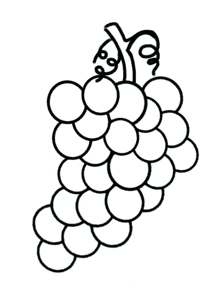 736x981 Unique Fruits And Veggies Coloring Pages Or Vegetable Coloring