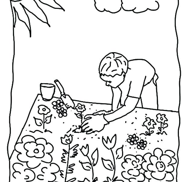 603x600 Garden Coloring Pages Vegetable Coloring Page Free Coloring Pages