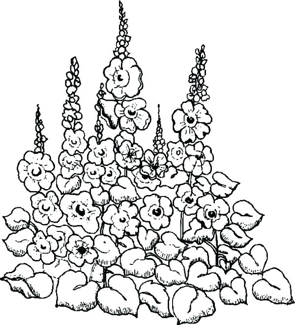 600x660 Free Coloring Pages Garden Mustangrobotics.club
