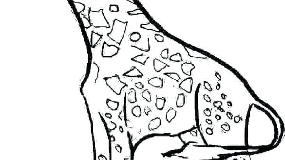 585x329 Giraffe Coloring Pages Printable Giraffe Coloring Page Free