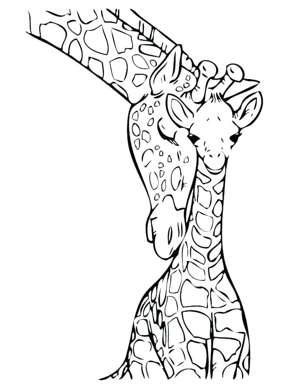 618x800 Giraffes Coloring Pages Giraffe Coloring Book Page Printable