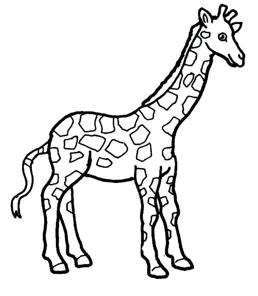 900x1034 Coloring Pages ~ Giraffe Coloring Page Adult Giraffes Pages
