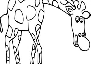300x210 Free Giraffe Coloring Pages Throughout Free Giraffe Coloring Pages