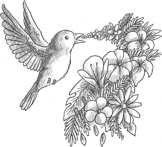 520x473 Coloriage Grayscale Gratuit, Oiseau Qui Chante Des Fleurs