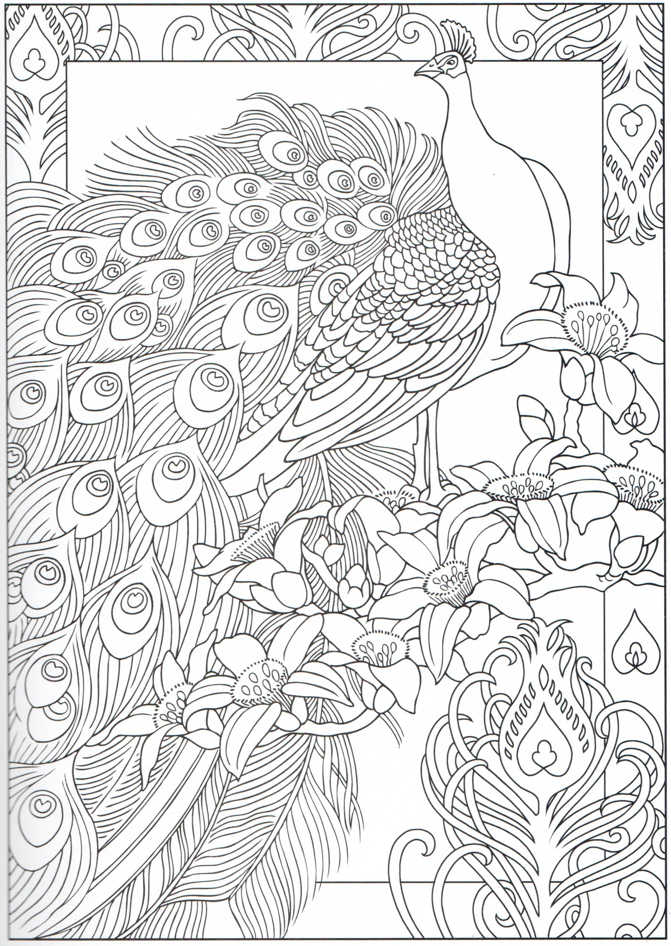 2164x3050 Inspirational Peacock Coloring Page 29 31 Free Coloring Pages