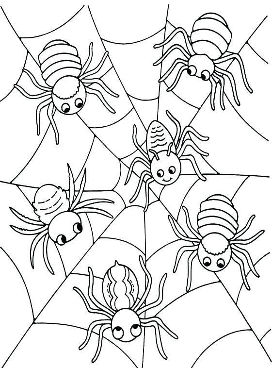 561x758 Spider Coloring Page Preschool Coloring To Snazzy Spider Coloring