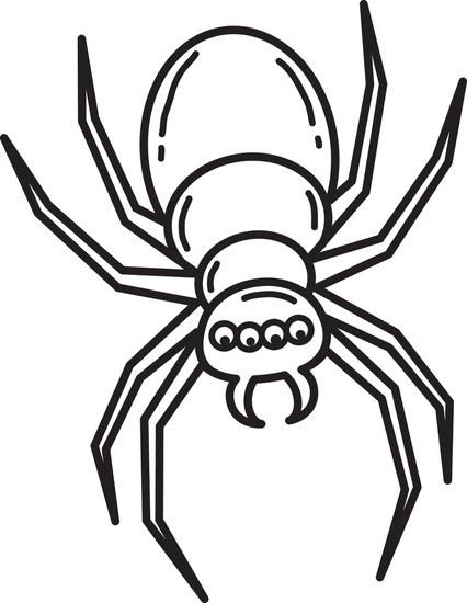 426x550 Free Printable Halloween Spider Coloring Page For Kids
