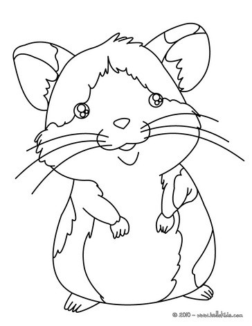 364x470 Hamster Coloring Pages