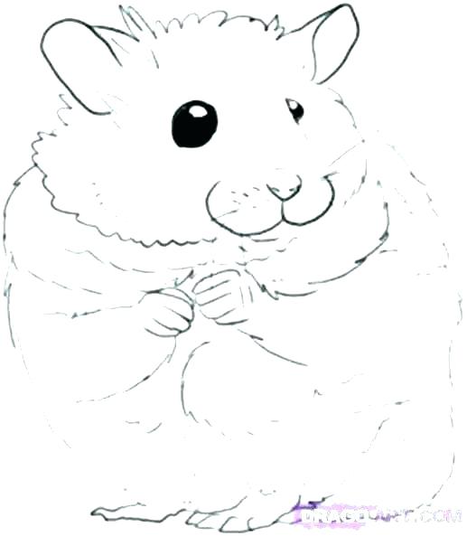 517x593 Cute Hamster Coloring Free Hamster Coloring Page Hamster Coloring