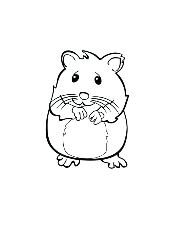 600x776 Hamster Coloring Sheet A Little Hamster Coloring Page Free