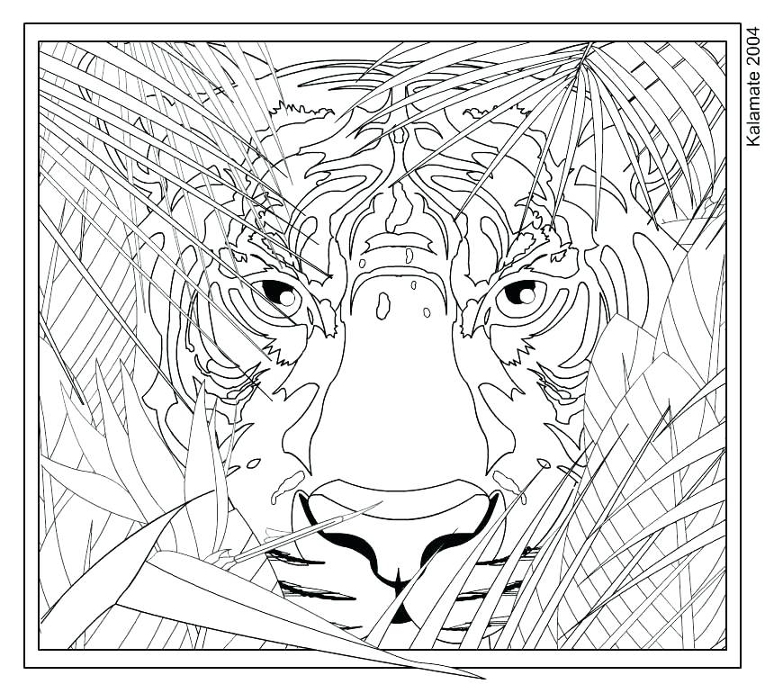 850x770 Free Hard Coloring Pages Amazing Free Difficult Coloring Pages