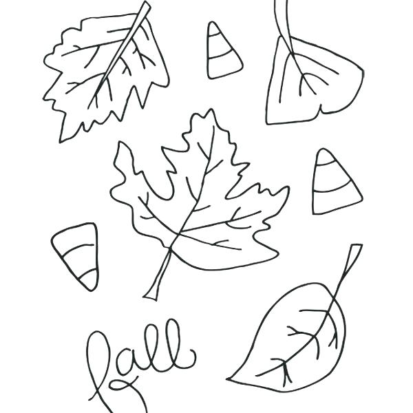 Free Harvest Coloring Pages