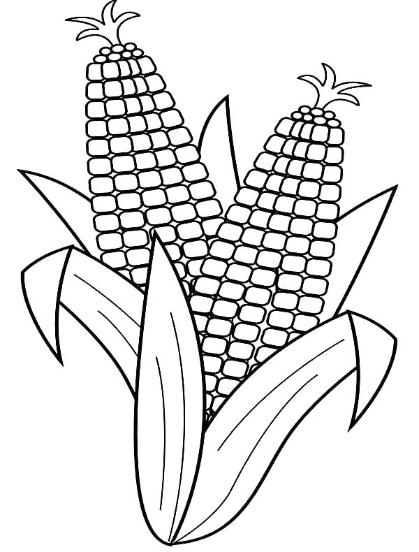 600x790 Harvest Coloring Pages Free
