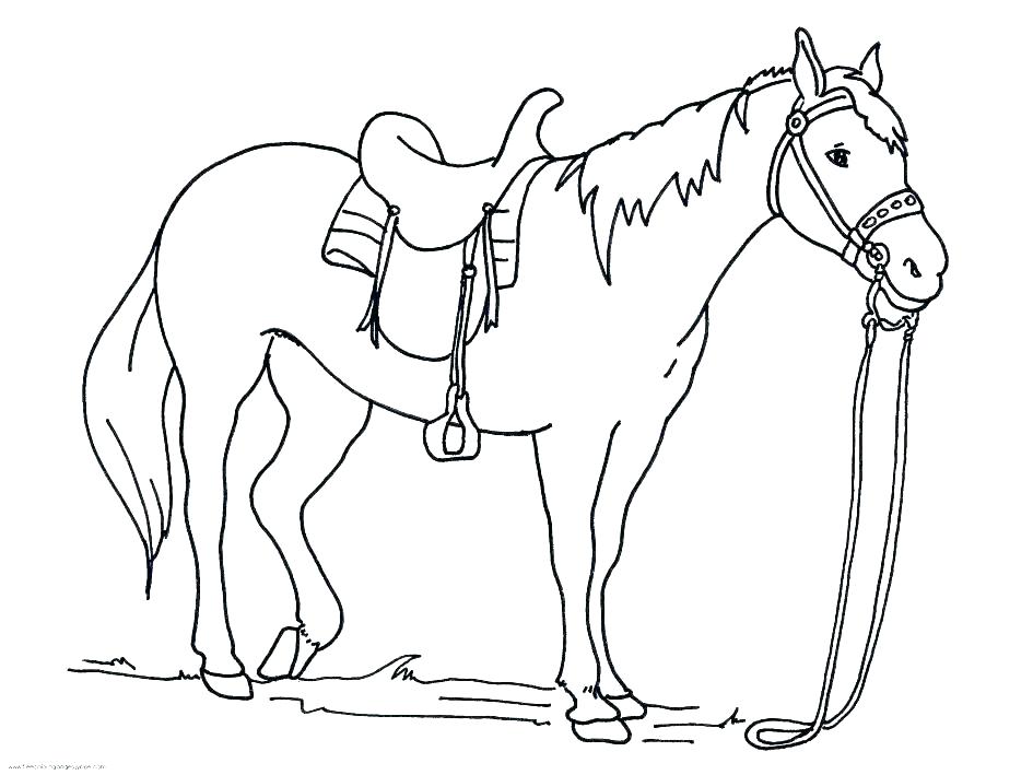 945x709 Free Printable Mustang Horse Coloring Pages Pa