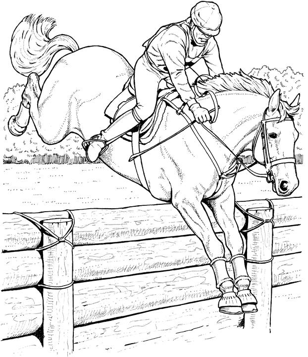 622x720 Realistic Horse Coloring Pages Free Horse Coloring Pages Adult