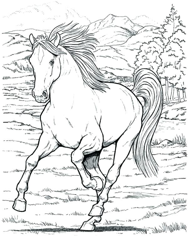 600x771 Free Online Horse Coloring Pages Games