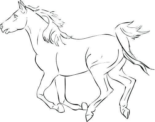 504x397 Horse Pictures To Color For Free Free Coloring Pages For Adults