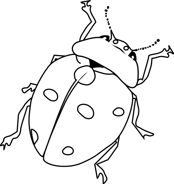 564x595 Insect Pictures To Color Jungle Insects Coloring Pages Coloring