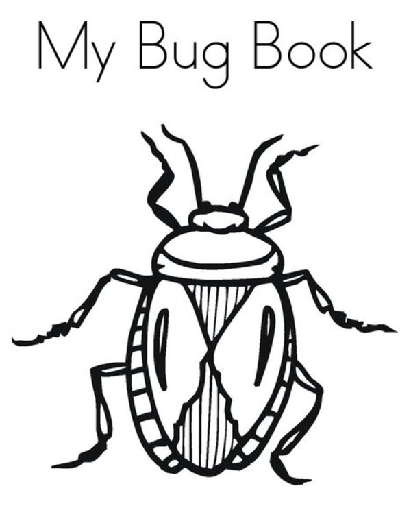 600x776 Insects Coloring Pages