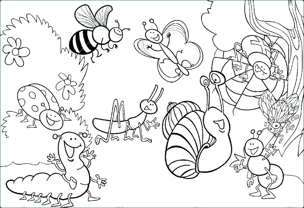 1024x703 Insect Color Pages