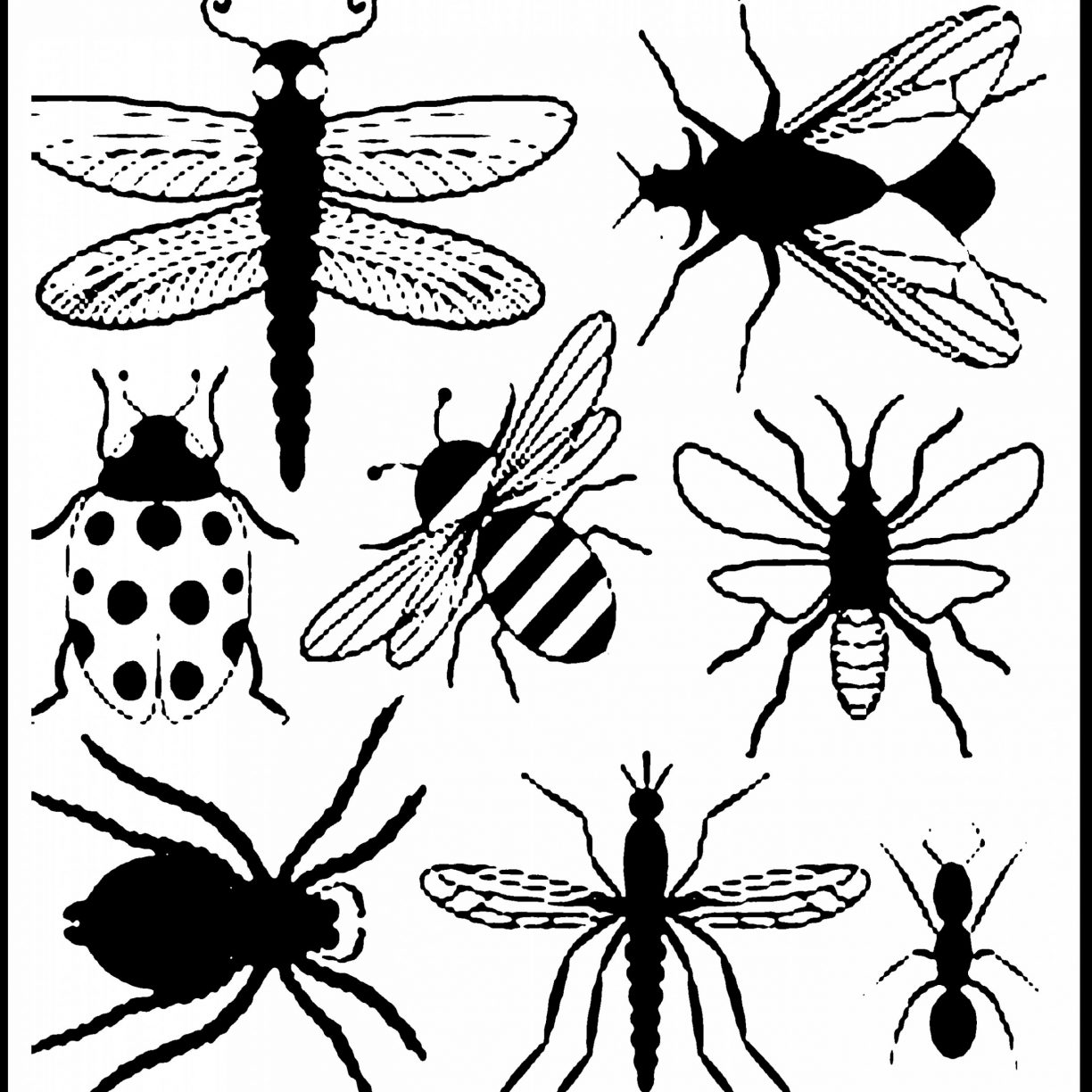 1224x1224 Butterfly Coloring Pages Realistic Insect For Free Insects And Bug