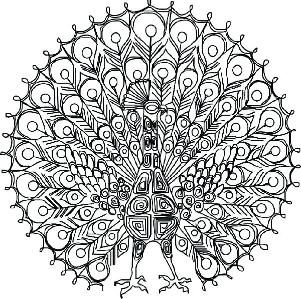 600x597 Detailed Butterfly Coloring Pages Detailed Butterfly Coloring