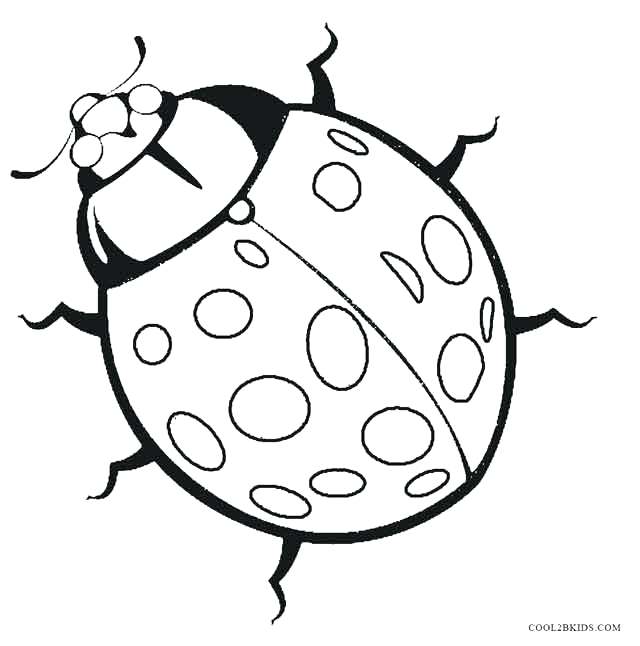 640x646 Bug Coloring Pages Lady Bug Coloring Page Ladybugs Coloring Pages