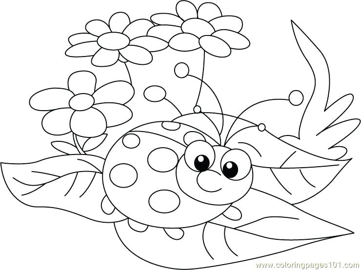 740x554 Ladybug Coloring Picture Ladybug Sit Flowers Coloring Page Free