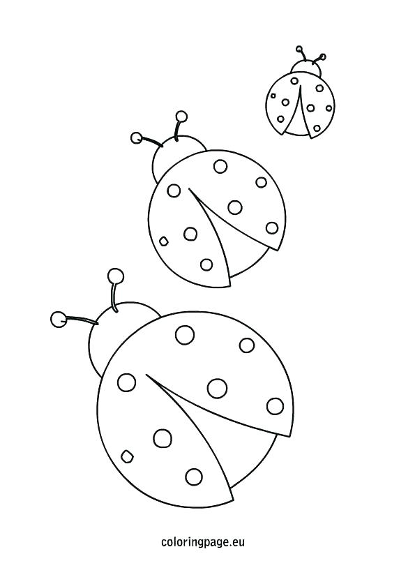 595x804 Ladybug Coloring Pictures Ladybugs Coloring Pages Free Ladybug