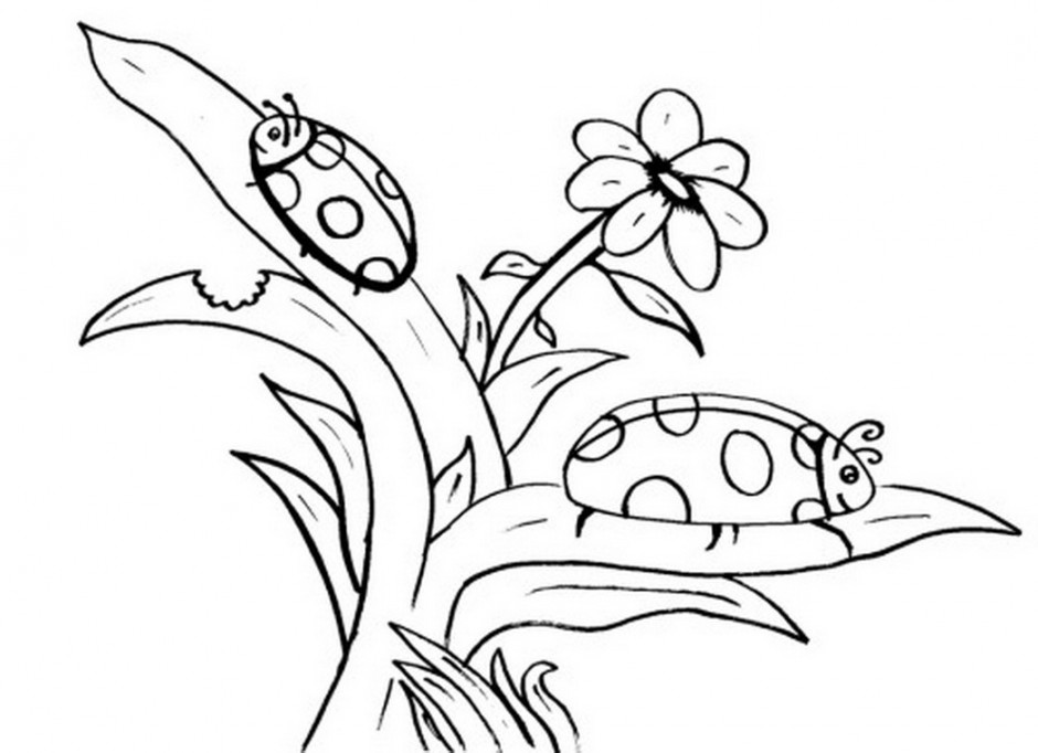 940x682 Ladybug Outline 420739