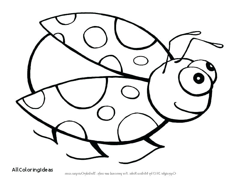 800x618 Cute Ladybug Coloring Pages Cute Ladybug Coloring Pages Lady Bug S
