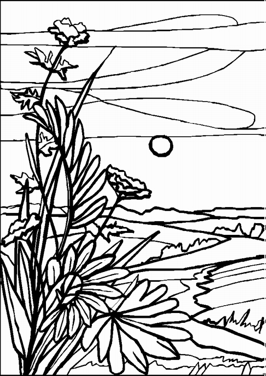 544x770 Landscape Coloring Sheet To Print Free Coloring Sheets