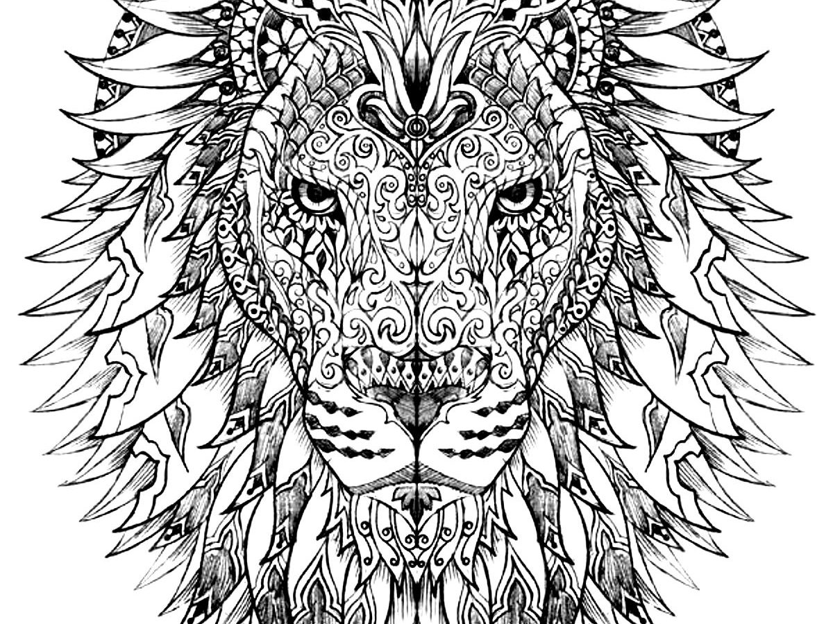1200x900 Lion Coloring Pages Pdf Free For Adults King Head Kids Printable