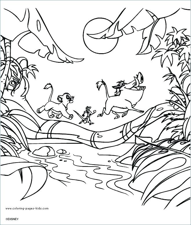 660x778 The Lion King Coloring Pages Free Coloring Sea Lion Coloring Page
