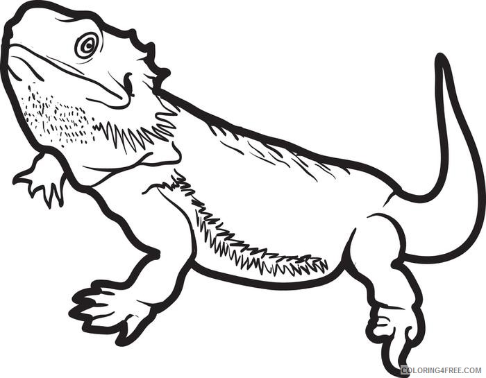 700x545 Lizard Coloring Pages Bearded Dragon Coloring4free Awesome Bearded