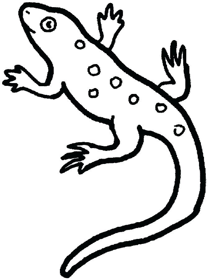 670x900 Animal Camouflage Coloring Pages Printable Free Printable Lizard