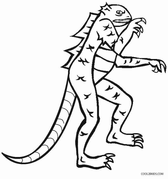 686x731 Printable Lizard Coloring Pages For Kids Cool2bkids
