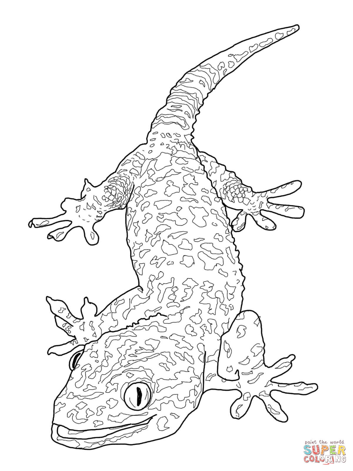 1200x1600 Leopard Gecko Coloring Page Free Printable Coloring Pages Gecko