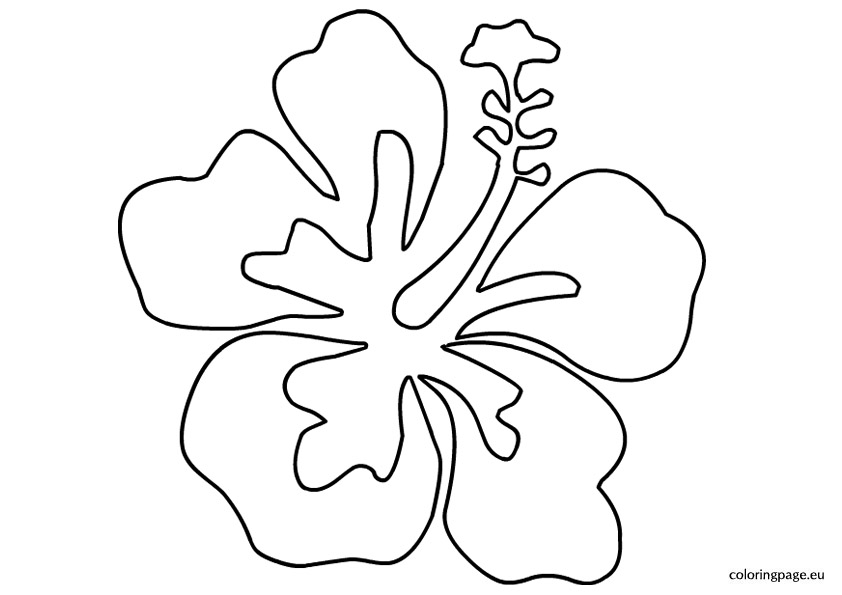 842x595 Hawaiian Flower Template Luau Coloring Pages For Kids Ideas